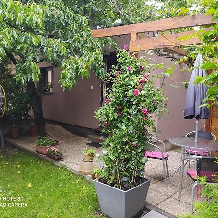 Apartment Garden Ceske Budejovice Extérieur photo