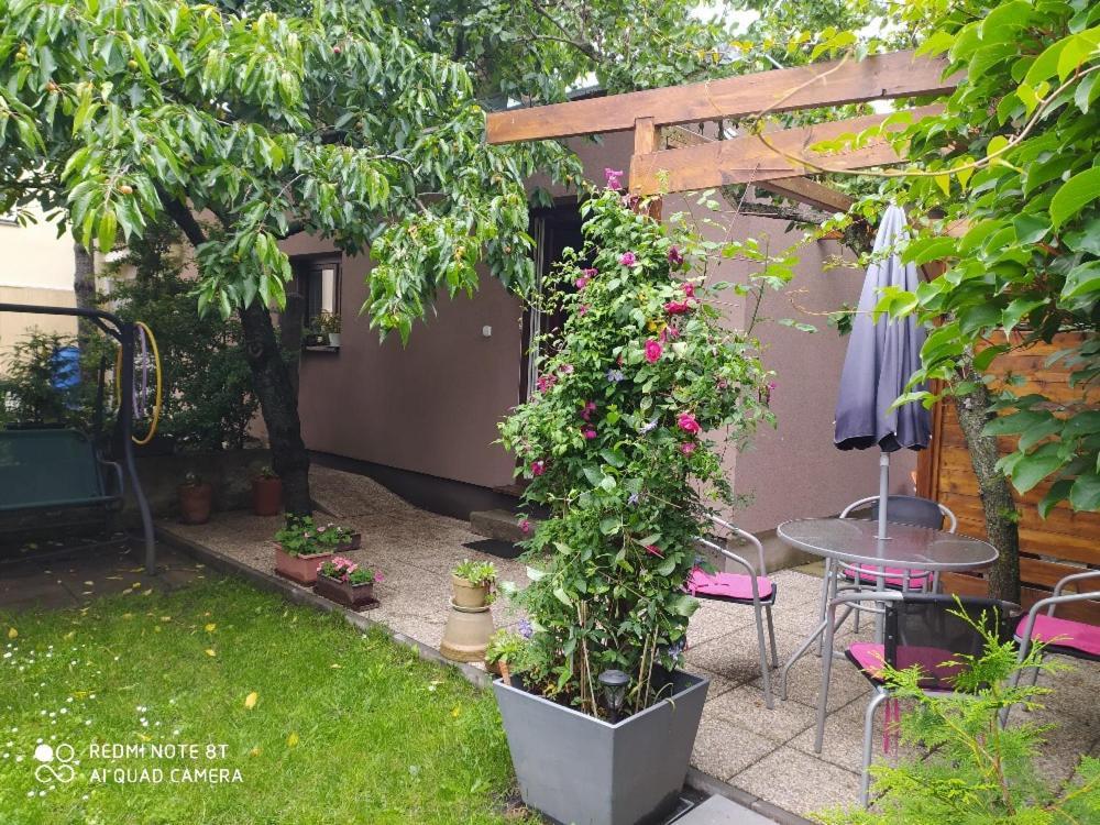 Apartment Garden Ceske Budejovice Extérieur photo